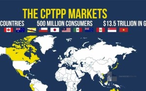 Sổ tay hiệp định CPTPP và những điều cần lưu ý đối với doanh nghiệp Bình Dương