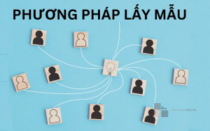 Phương pháp lấy mẫu của PAPI: Kiểm nghiệm một số phương pháp thay thế